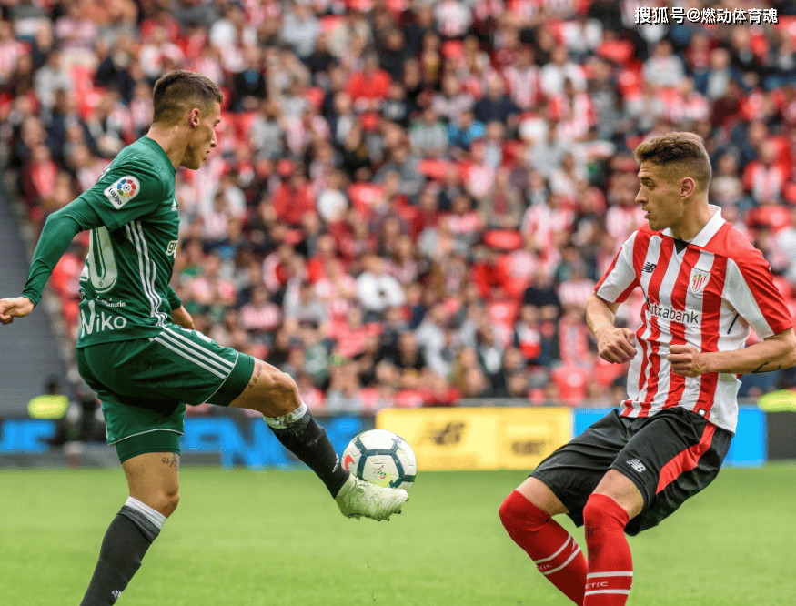  蒂姆关键节点爆冷，塞尔维亚队带队取胜！-开云官网首页